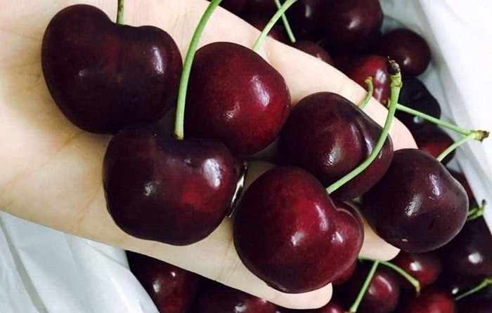 Cherry nhập khẩu từ New Zealand có giá lên đến 800 ngàn đồng/kg. Ảnh: T.C.N.K