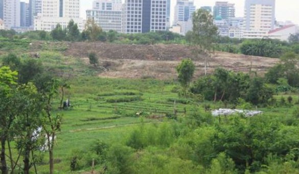 Lô đất ĐM1 tại phường Đại Mỗ mà FLC trúng thầu là đất nông nghiệp, hạ tầng cở sở vật chất xung quanh lô đất này chưa có gì (ảnh minh họa).