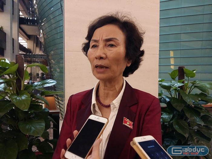 Phó Giáo sư Bùi Thị An cho rằng, Sở Tài nguyên và Môi trường tỉnh Hải Dương cần phải vào cuộc ngay khi người dân phản ánh nhà máy luyện thép trên địa bàn gây ô nhiễm. Ảnh: N.Q