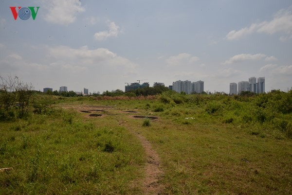 Một góc khu đất hơn 30 ha tại xã Phước Kiển, huyện Nhà Bè, Thành phố Hồ Chí Minh được chuyển nhượng cho Quốc Cường Gia Lai với giá bèo. Ảnh: VOV