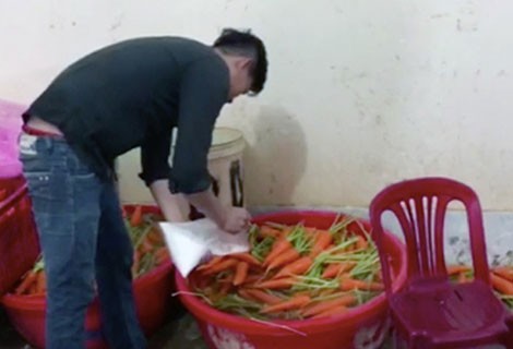 Nhân viên của Sáng đang tiến hành tẩy trắng cà rốt.