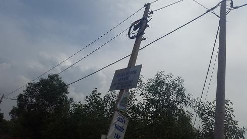 Dù đã có dây và trụ điện, nhưng hơn 200 hộ dân ở ấp Tân Cang vẫn chưa có điện quốc gia dùng (ảnh: T.Q)