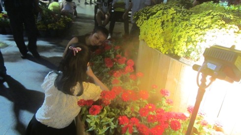 Thiếu nữ Sài Gòn chụp hình nghiêng vào hoa dễ làm cho hoa bị tổn thương (Ảnh: P.L)