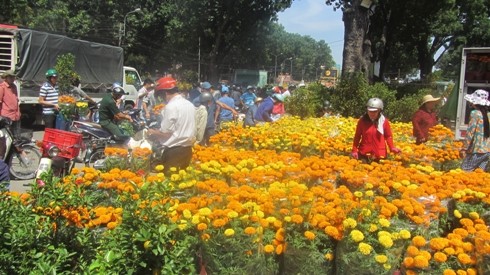 Những hoa có giá trị thấp như cúc thì lại thu hút rất đông người mua ở công viên Gia Định (ảnh: P.L)