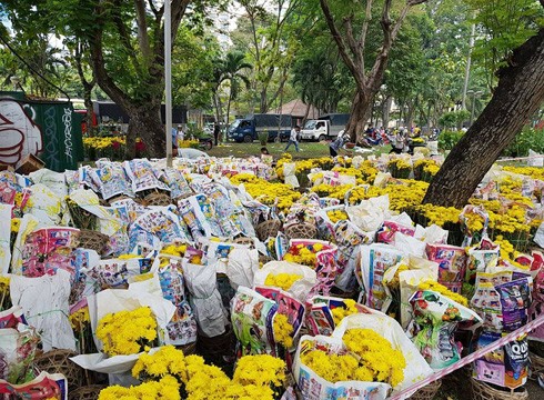 Nhiều chậu hoa cúc bị bỏ lại công viên 23/9. (ảnh: P.L)