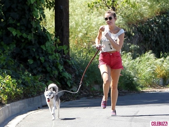 Miley Cyrus vừa bị bắt gặp đang đưa chú chó sói của mình đi chạy bộ dưới ánh nắng ấm áp trong chiếc áo ba lỗ trắng và quần ngắn màu hồng. Gần đây Miley Cyrus chia sẻ rằng cô muốn đưa chú cún của mình đi làm "người mẫu".