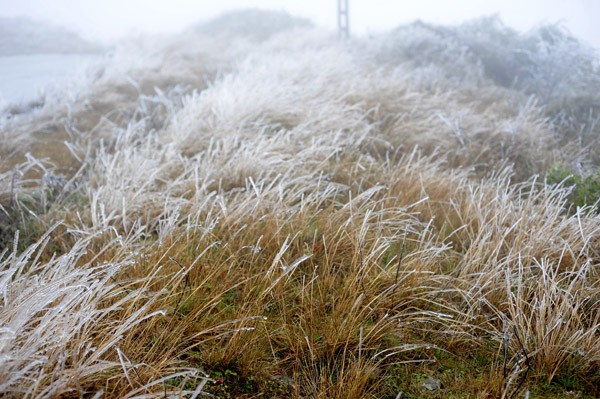 Nhiệt độ xuống thấp đã tạo ra hiện tượng băng giá tại đỉnh Mẫu Sơn (Lạng Sơn) trong đêm mùng 4, ngày mùng 5/1/2012.