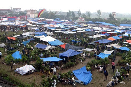 Quang cảnh phiên chợ Viềng nhìn từ trên cao xuống vào năm 2007.
