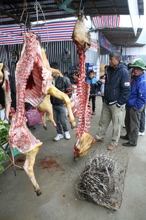 Những con thú hoang dã bị giết thịt, treo lên bán là cảnh thường thấy ở đường vào chùa Hương.