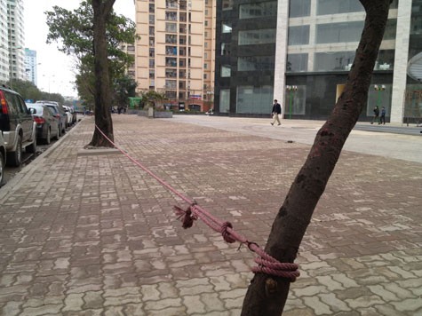 Việc lập "hàng rào" dây thừng tại khu vực này cũng đã làm mất phần lớn diện tích vỉa hè của người đi bộ trên đường Hoàng Đạo Thúy.