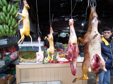 Thịt thú rừng được bày bán tràn lan dọc đường vào chùa Hương dịp lễ hội đầu Xuân 2012.