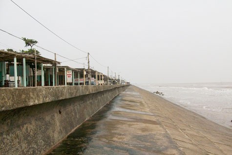 Bãi biển Quất Lâm (Nam Định). (Ảnh từ blog của tác giả).