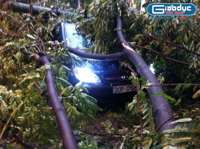 Những cành cây lớn bị gãy, đè lên làm hư hỏng một ôtô và khiến người lái xe bị thương.
