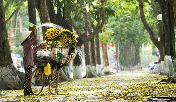 Người bán hoa trên đường Phan Đình Phùng.