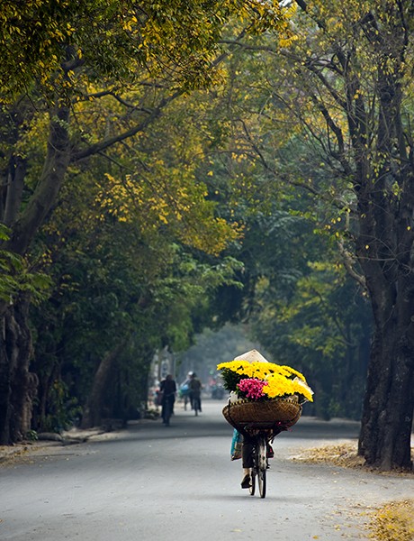 Một người bán hoa trên con đường Yên Phụ