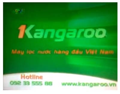 Không ít báo chí đã ngỡ ngàng khi quảng cáo phản cảm Kangagroo được thông báo lọt vào top 54 đơn vị đạt kỷ lục Việt Nam trong buổi họp báo do Trung tâm sách Kỷ lục Việt Nam tổ chức.