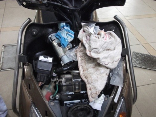 Khi đi bảo hành, chị Lê Diễm phát hiện ra một ổ giẻ rách trong xe của mình.
