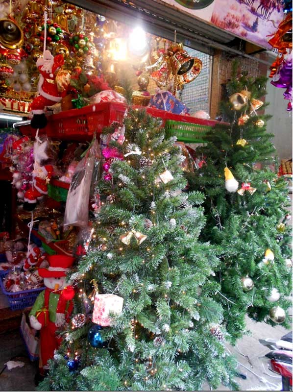 Cách khoảnh khắc đêm Giáng sinh chỉ còn ít phút, vẫn còn nhiều người vội vàng tới mua cây thông về nhà trang trí. Chủ cửa hàng trên phố Lương Văn Can cho biết: Noel năm nay loại cây thông 3 lá được ưa chuộng nhất.