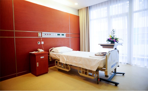 Đây cũng là bệnh viện đầu tiên tại Việt Nam theo mô hình toàn bộ phòng bệnh đơn. Các phòng bệnh đều đạt tiêu chuẩn khắt khe và hiện đại của Y tế thế giới cùng nội thất tiện nghi của các khách sạn 5 sao.