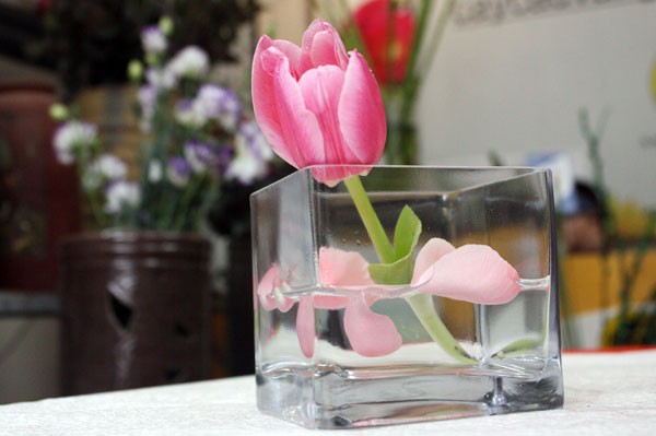 "Chỉ với một chiếc cốc thủy tinh hình vuông trong suốt, bạn có thể cắm được nhiều loại hoa khác nhau, với những đủ loại màu sắc bạn muốn để phù hợp với sở thích, phong cách trong nhà bạn" - Nhân viên bán hàng của tiệm hoa Cây Cầu Vàng tư vấn.
