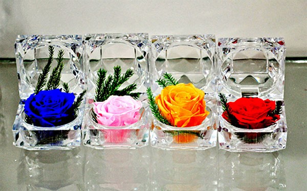 Có nhiều màu sắc cho bạn chọn lựa, giá tiền là 150.000 đồng/bông, có bán tại Việt Phương shop (www.bebibo.com).