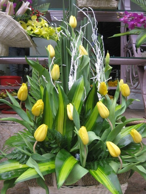 Lẵng hoa tulip vàng với 15 bông hoa tulip tượng trưng cho những lời tỏ bày tình yêu của người con trai dành cho người mình thương. Lẵng hoa sẽ rất thích hợp cho những chàng trai đang muốn thổ lộ tình cảm với nửa kia trong ngày 8/3. Giá: 600.000 đ