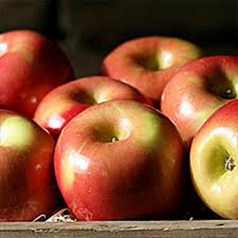Một quả táo tươi, ngon, không phun kích thích, thuốc trừ sâu giống như ở Trung Quốc là quả táo mà khi khách hàng cầm lên, thấy trơn như được bôi một lớp dầu. Đã từ lâu, người tiêu dùng đã nhầm lẫn tưởng lớp trơn đó là chất bảo quản.