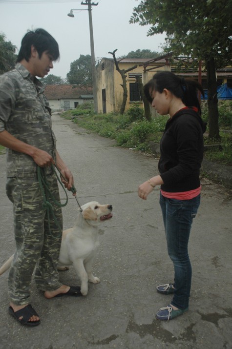 Chủ nhân của những chú chó cũng được các HLV chỉ dẫn các mệnh lệnh, động tác để điều khiển chú chó của mình.