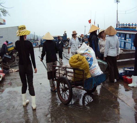 Ngay từ sáng sớm, cảnh mua bán, trao đổi các loại hải sản tại cảng cá Lạch Bạng đã diễn ra rất tấp nập và nhộn nhịp.