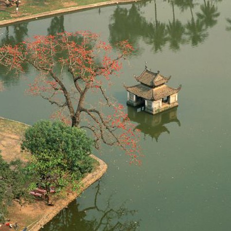 Phía trước chùa là một sân rộng nhìn ra hồ Long Chiểu, tạo thành hàm của rồng trước trồng hai cây gạo, nhưng hiện tại hai cây gạo đã chết, được thay bởi cây đa (Ảnh: Internet) .