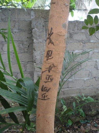 Dòng chữ lạ trên cây nhãn trong vườn nhà ông Vân