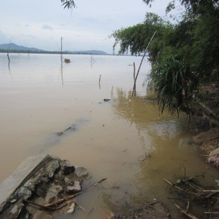 Đoạn kè dài hàng trăm mét bảo vệ cho làng Hoà Lam đã bị nước cuốn chìm dưới lòng sông.