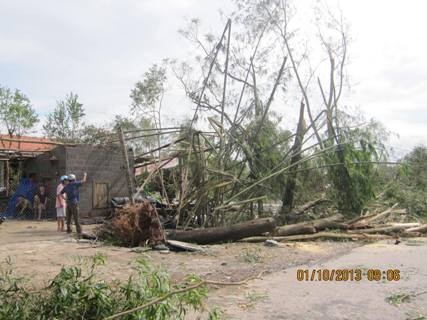 Cây đổ đè sập một nhà dân tại tỉnh Quảng Trị