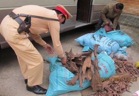 Trước đó vào ngày 3/4 một vụ vận chuyển 150kg gỗ đinh hương và gỗ sưa cũng đã bị phát hiện bắt giữ