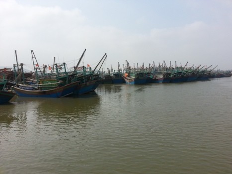Quỳnh Lưu là huyện có số lượng tàu đánh bắt xa bờ nhiều nhất tỉnh Nghệ An