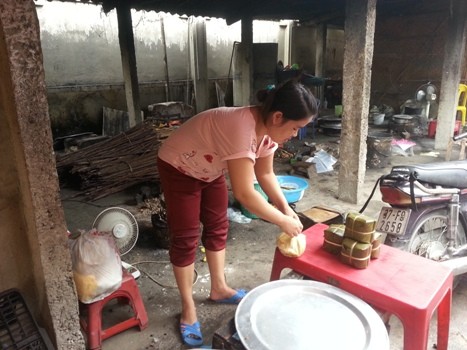 Để có một nền nhỏ bán bánh xèo đơn sơ phía ngoài đình chợ chị Nguyễn Thị Quyền năm 2011 cùng với một hộ buôn bán khác đã phải nộp phí cho UBND xã Hợp Thành 3,5 triệu/hộ