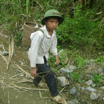 Một em đang độ tuổi đến trường tại huyện miền núi Kỳ Sơn, Nghệ An nhưng hàng ngày vẫn phải lên rẫy cùng bố mẹ