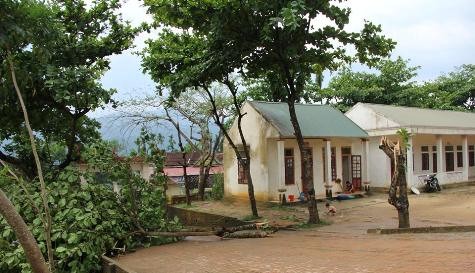 Cây cối bị gió lốc làm đổ ngổn ngang trong khug viên Trường Trung học cơ sở xã Mường Ngọc (ảnh Nguyễn Cường)