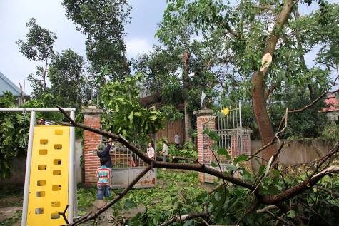 Cổng Trường Mầm non xã Mường Nọc, huyện Quế Phong bị gió lốc hất đổ, cây cối đổ ngổn ngang (ảnh Nguyễn Cường)