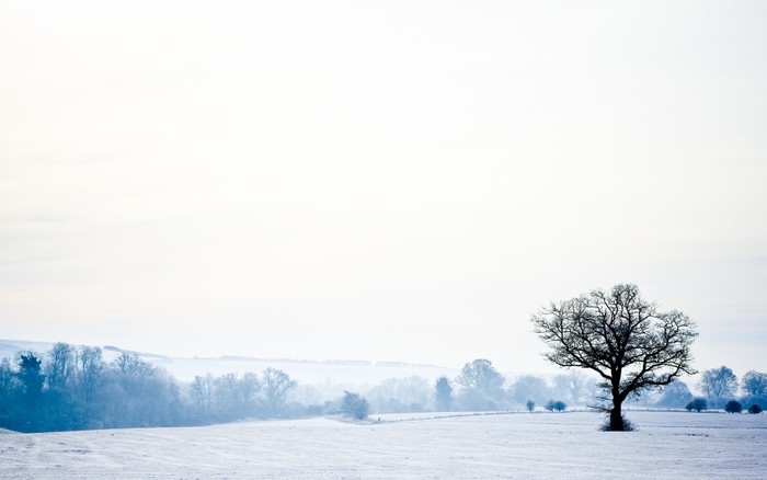 Buổi sáng ngày đông nước Anh. Ảnh chụp bởi Canon EOS 60D.