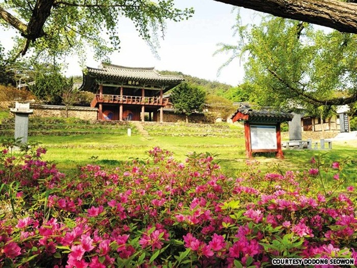 Donam Seowon là một trong những học viện seowon tồn tại sau Nghị định năm 1871. Donam Seowon hiện đang thuộc sở hữu của Kims Gwangsan-một gia tộc bề thế của tỉnh Chungcheong.