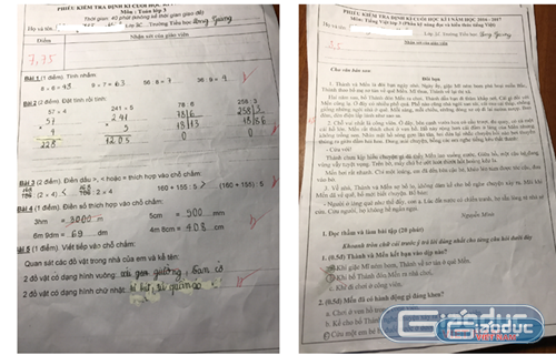 Cô Nguyễn Thị Nhung đã tự ý sửa bài của 6 em học sinh lớp 3C, làm sai lệch điểm của các em là 0,25 điểm/bài (ảnh HC)