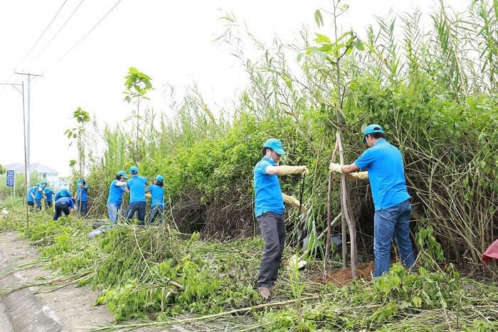 Nhân viên Novaland trồng 100 cây xanh đô thị tại tuyến đường trung tâm Quận Ninh Kiều – Thành phố Cần Thơ.