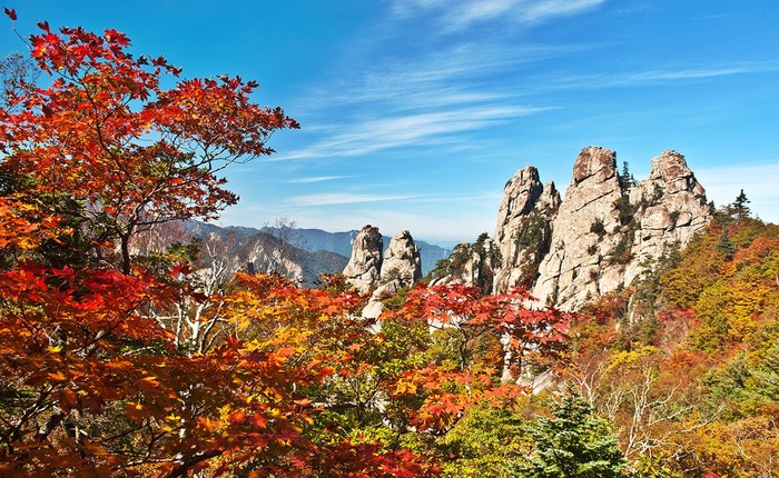 Ngỡ ngàng mùa thu tuyệt đẹp tại núi Seorak