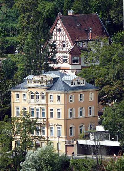Trường tư nội trú Gymnasium Heidelberg