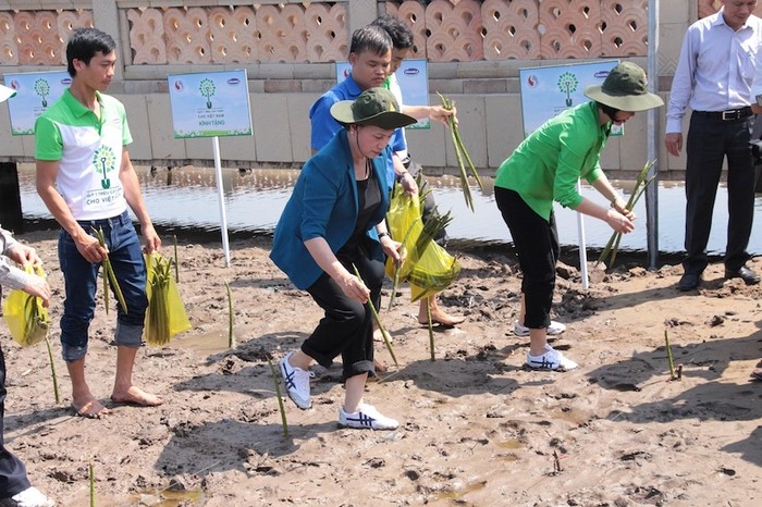 Bà Nguyễn Thị Kim Ngân và các đại biểu trồng cây đước tại xã Đất Mũi.
