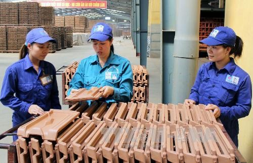 Hướng dẫn kỹ thuật chọn gạch cho các công nhân mới vào nghề tại Nhà máy gạch Tiêu Giao, thuộc Công ty Cổ phần Viglacera Hạ Long (Quảng Ninh). Ảnh Văn Đức/TTXVN