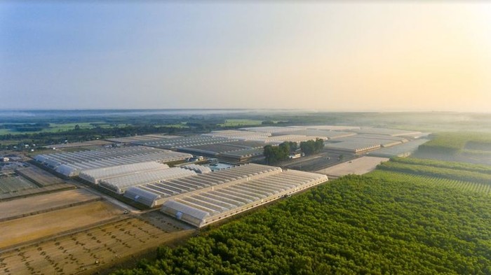 Công ty VinEco đang vận hành 15 nông trường công nghệ cao quy mô lớn trên cả nước.