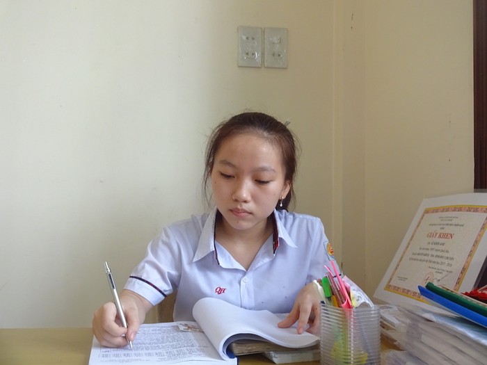 Lê Khôi Anh, sinh năm 2001, hiện là học sinh lớp 11 chuyên ngành Sinh học Trường Trung học phổ thông chuyên Quốc Học Huế.