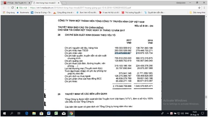 Báo cáo tài chính của Tổng công ty Truyền hình cáp Việt Nam. (nguồn [3])